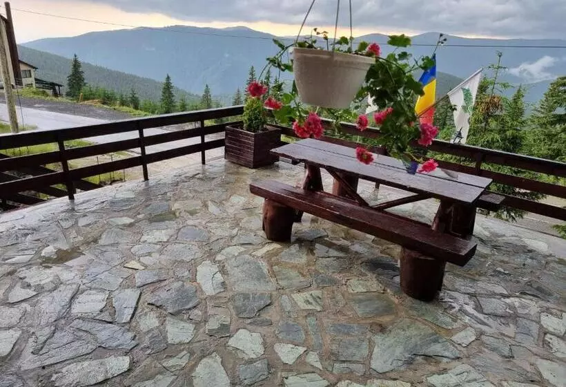 Majatalo Sport Avalanche