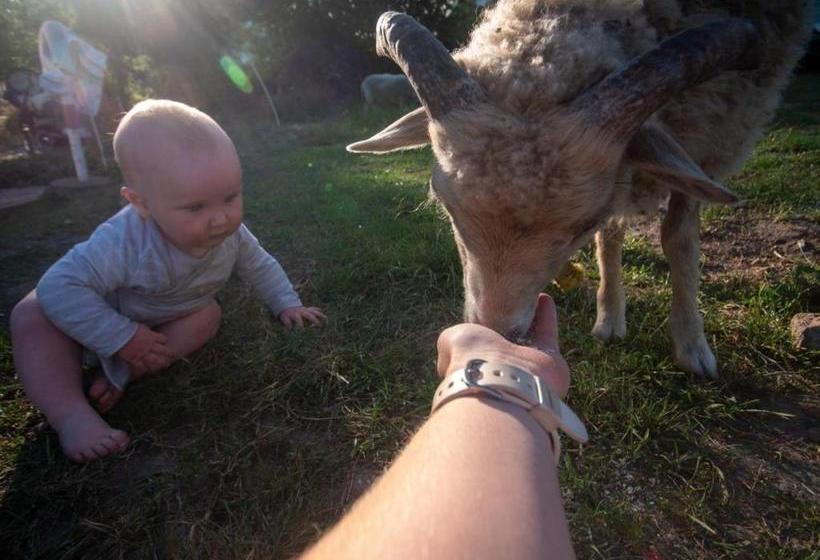 Hostel Oder Ferienwohnung 1 16 Personen Im Blauen Haus