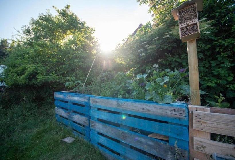 Hostel Oder Ferienwohnung 1 16 Personen Im Blauen Haus