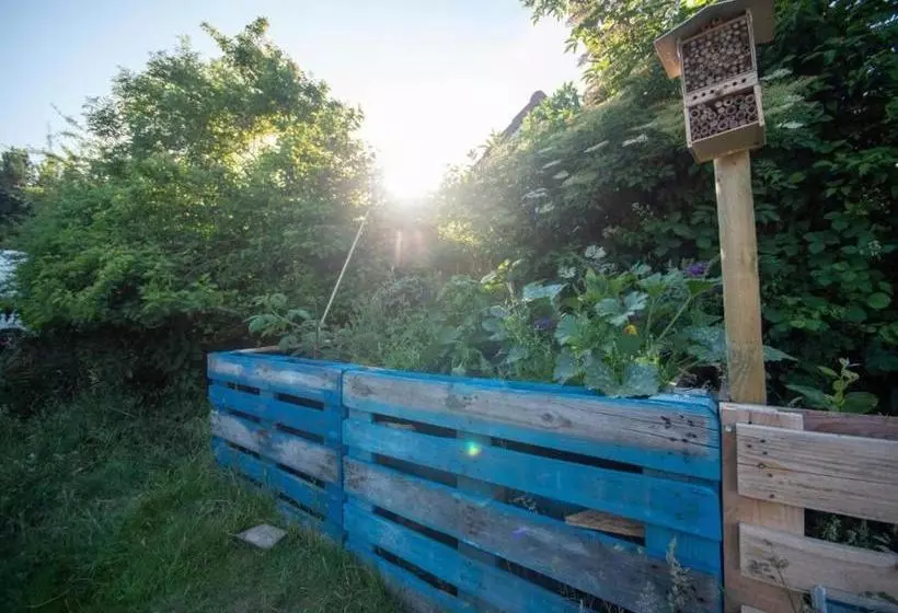 Hostel Oder Ferienwohnung 1 16 Personen Im Blauen Haus