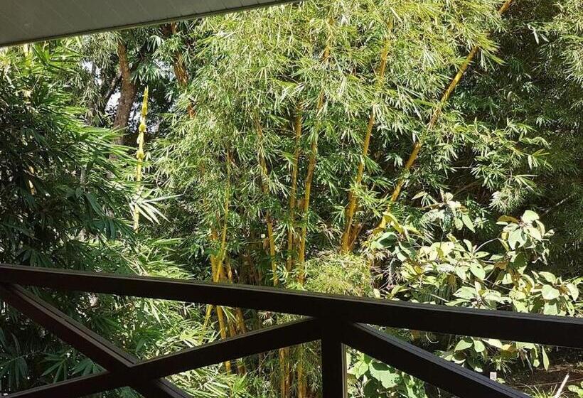 住宿加早餐  Magic Mountain Lodge