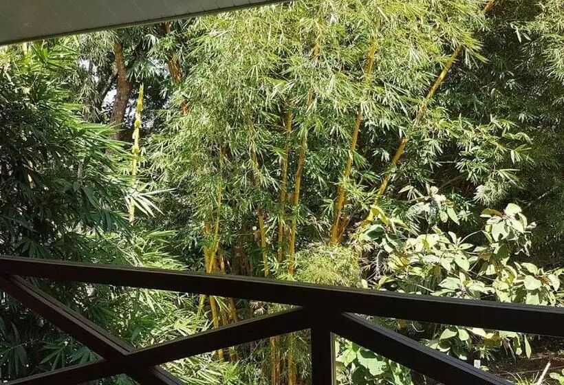 ベッドアンドブレックファースト Magic Mountain Lodge