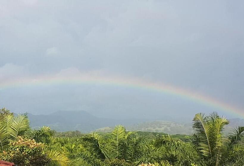 住宿加早餐  Magic Mountain Lodge