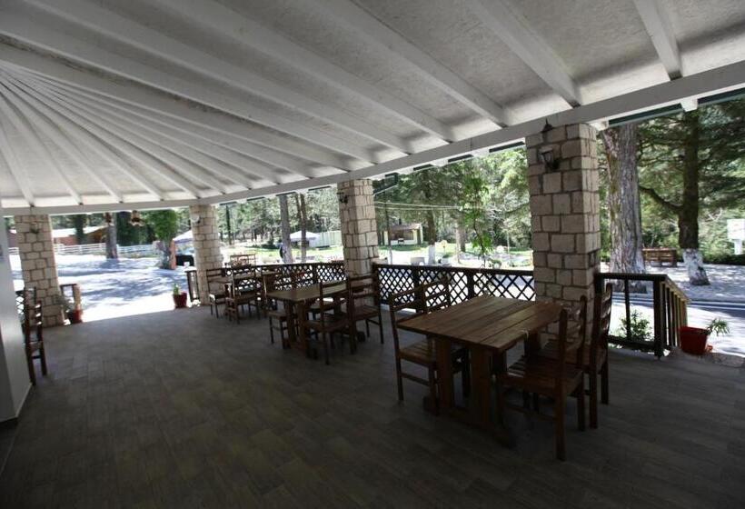 هتل Bujtina Uji I Panjes, Log Cabins