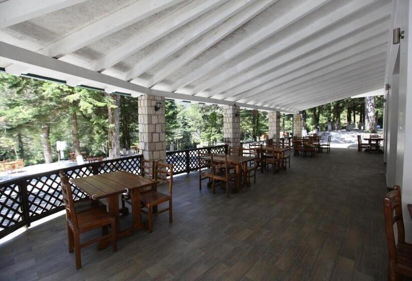 هتل Bujtina Uji I Panjes, Log Cabins