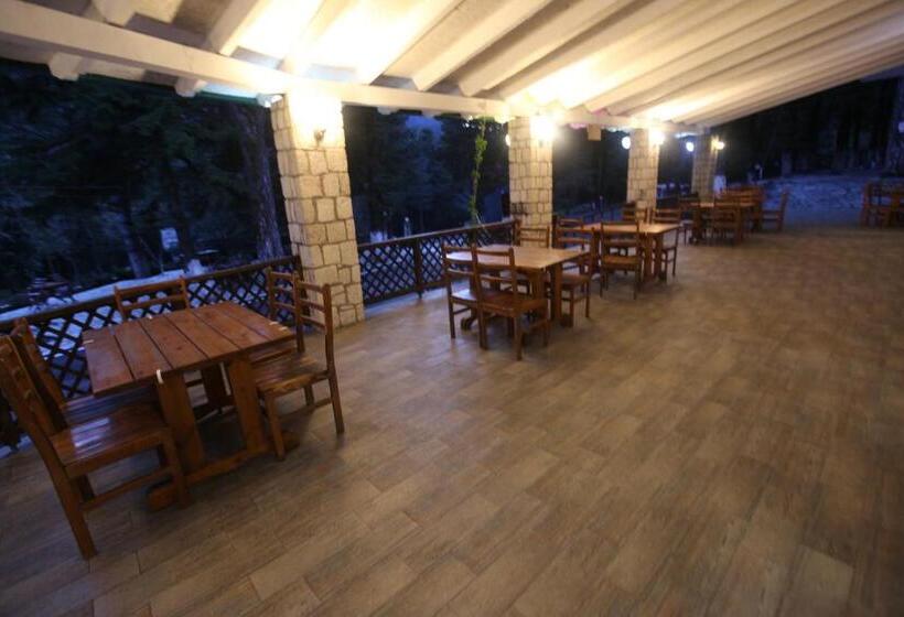 هتل Bujtina Uji I Panjes, Log Cabins