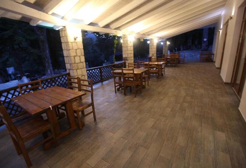 هتل Bujtina Uji I Panjes, Log Cabins