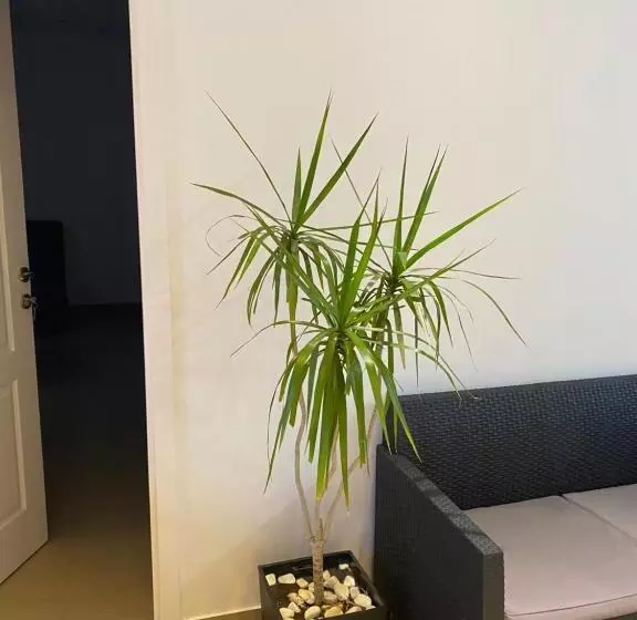 Omis Rooms