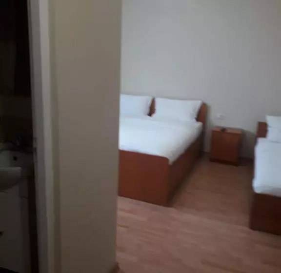 ペンション Casa Andrei Retezat