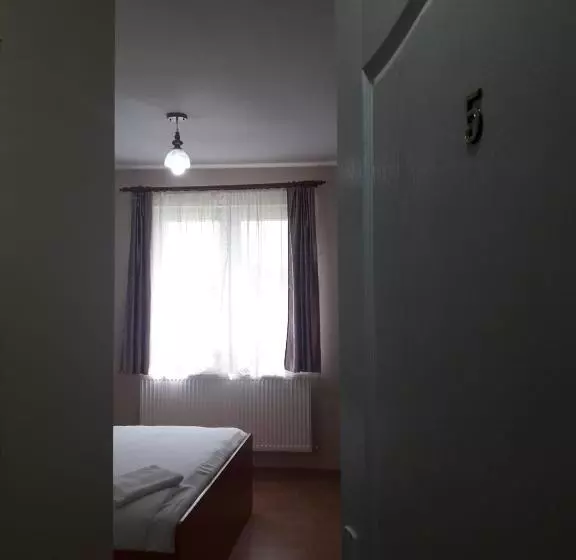 ペンション Casa Andrei Retezat