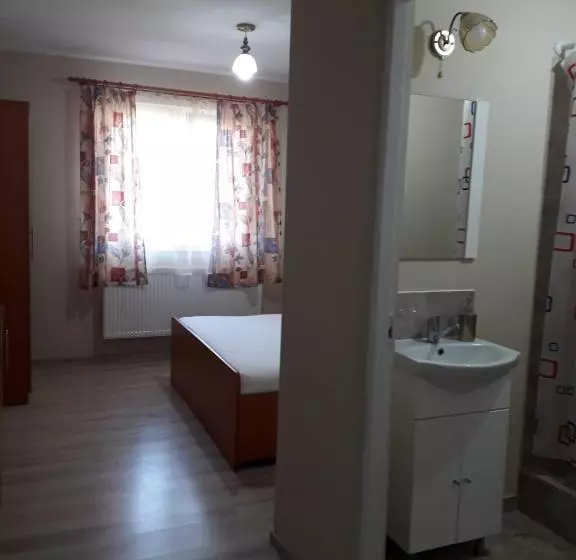 ペンション Casa Andrei Retezat