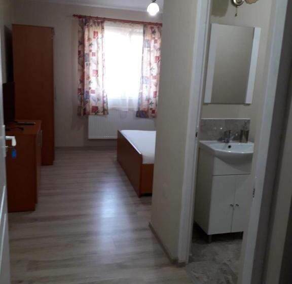 پانسیون Casa Andrei Retezat