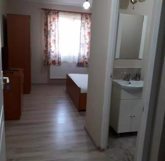 ペンション Casa Andrei Retezat