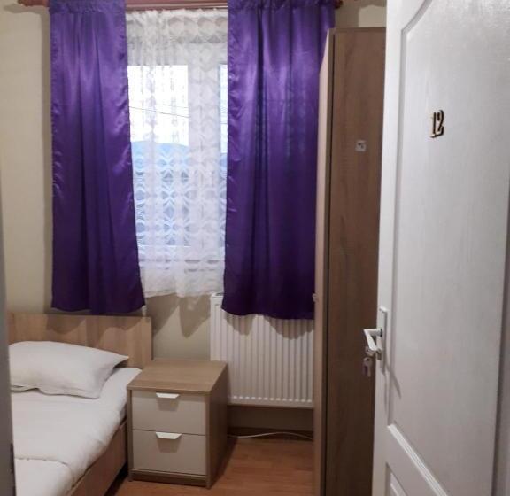 پانسیون Casa Andrei Retezat