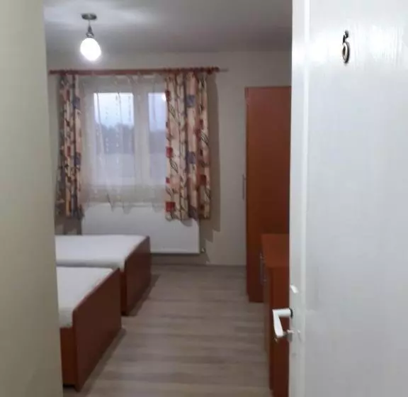 ペンション Casa Andrei Retezat
