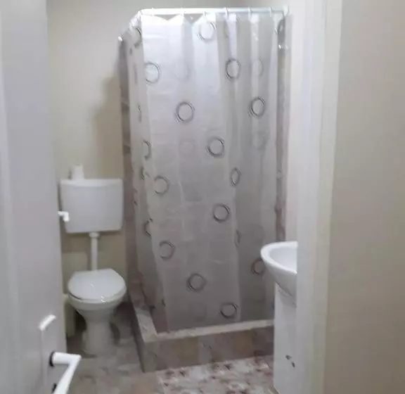 ペンション Casa Andrei Retezat