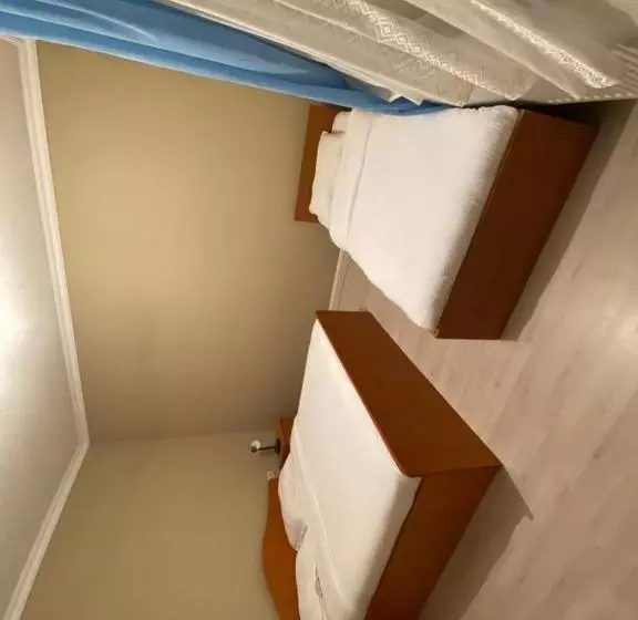 ペンション Casa Andrei Retezat