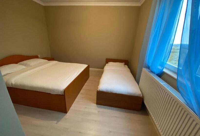 پانسیون Casa Andrei Retezat