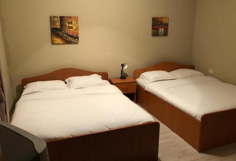 پانسیون Casa Andrei Retezat