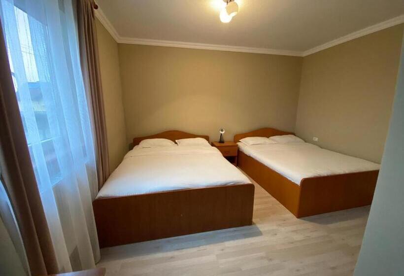 پانسیون Casa Andrei Retezat