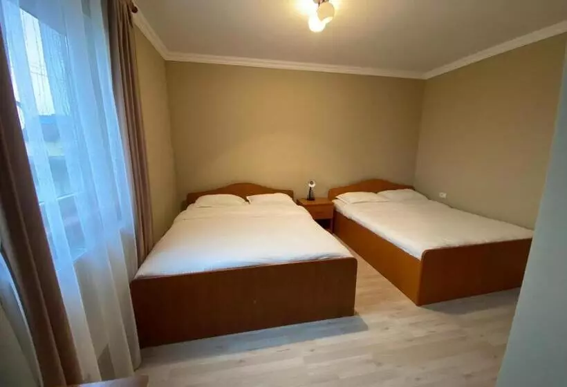 ペンション Casa Andrei Retezat