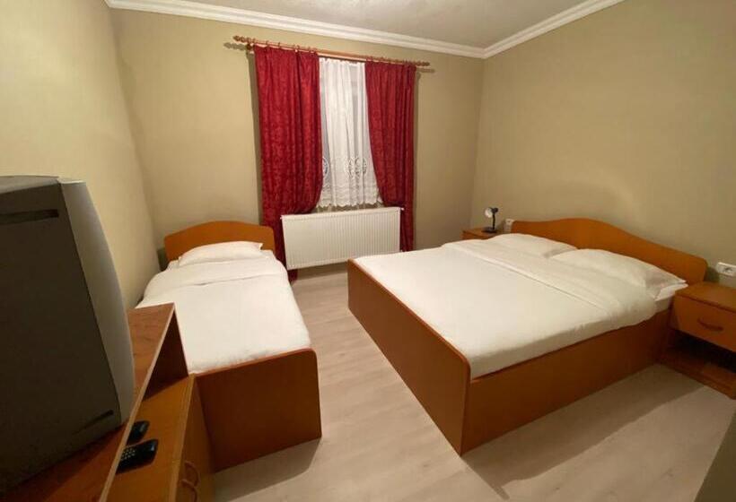 پانسیون Casa Andrei Retezat