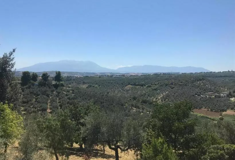 پانسیون L Oleandro