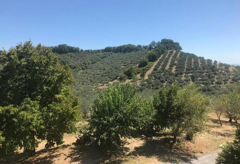 Pensionat L Oleandro