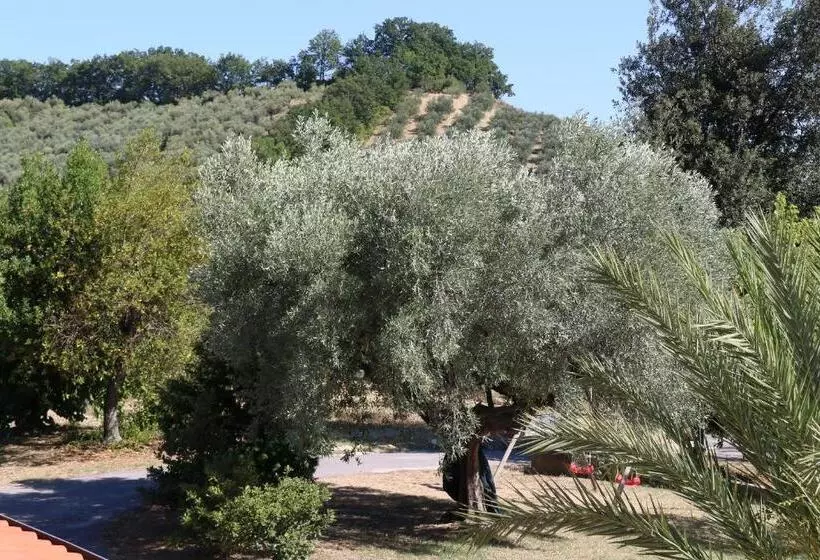 پانسیون L Oleandro