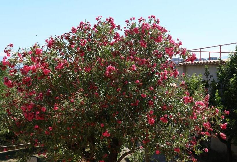 Pensionat L Oleandro