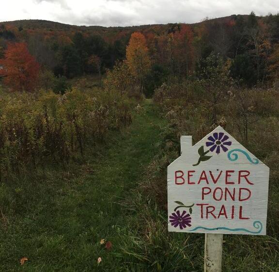 פנסיון Wind In The Willows Overnight