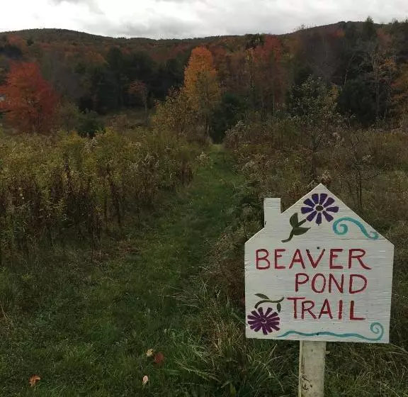 Majatalo Wind In The Willows Overnight