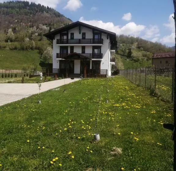 Pensiunea Acasa La Vladuț