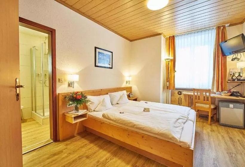 Akzent Hotel Goldner Stern