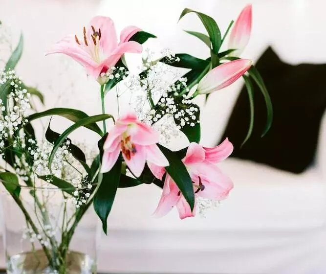 Boutique Hotel Villa Oberkassel