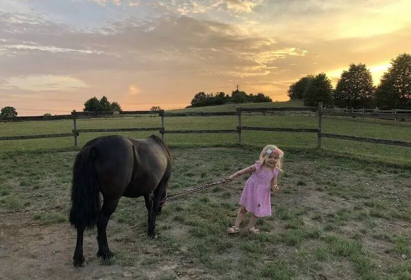 ホテル Alter Landsitz Sommerstorf