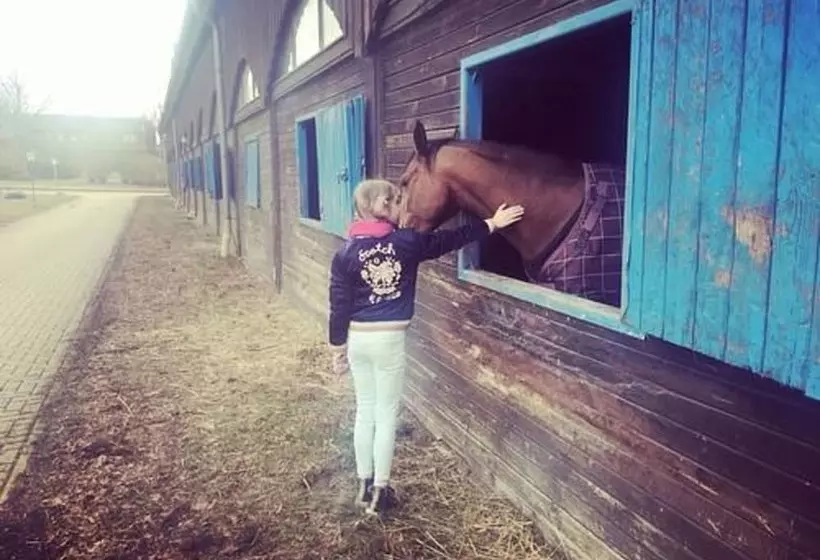 ホテル Alter Landsitz Sommerstorf