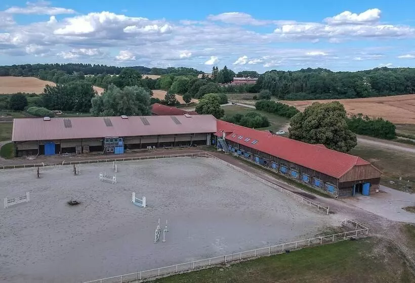 ホテル Alter Landsitz Sommerstorf