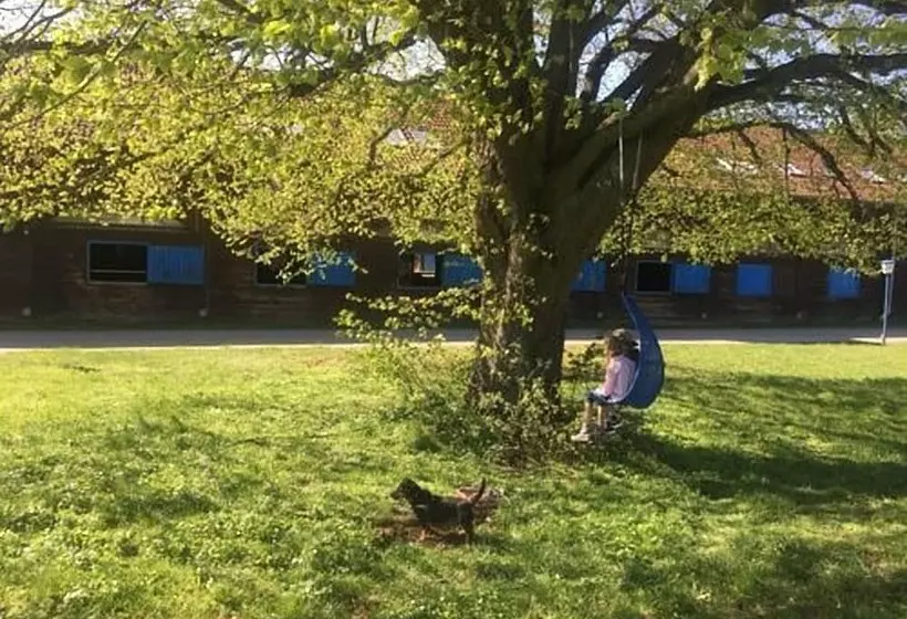 ホテル Alter Landsitz Sommerstorf