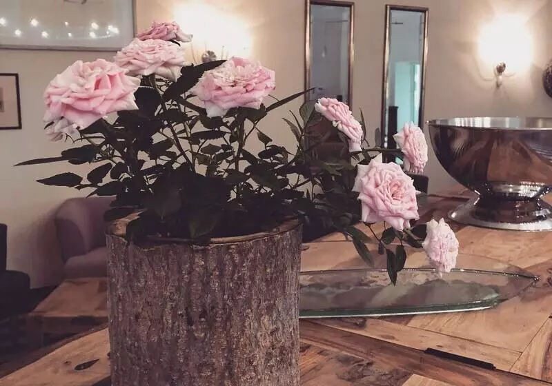 ホテル Alter Landsitz Sommerstorf