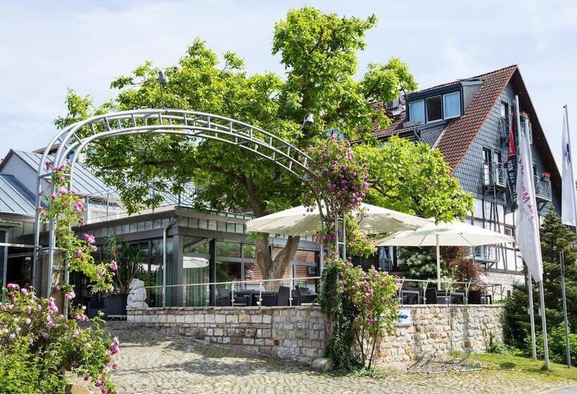 בית מלון כפרי An Der Wasserburg