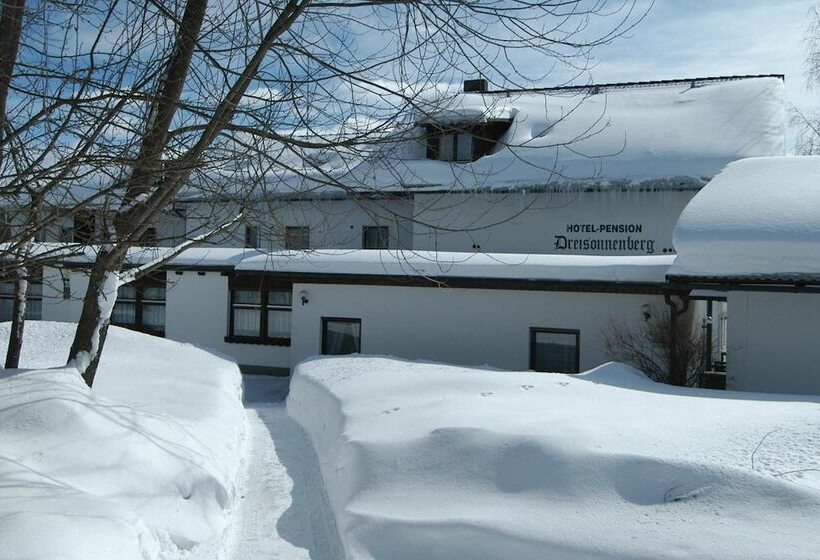 Отель Dreisonnenberg
