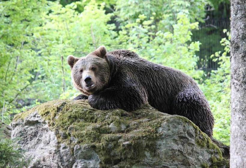 Отель Dreisonnenberg