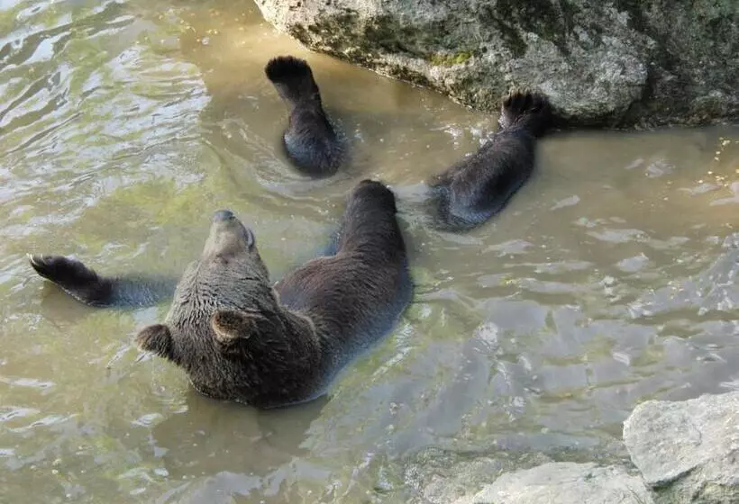 Hotel Dreisonnenberg