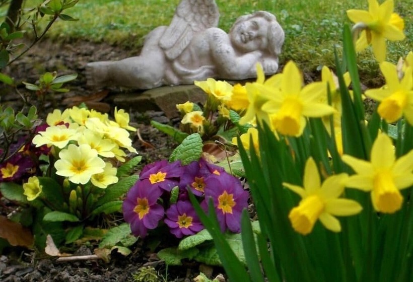 ホテル Haus Am Park