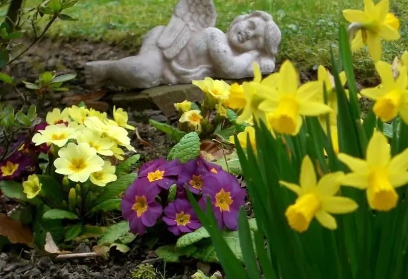 Отель Haus Am Park