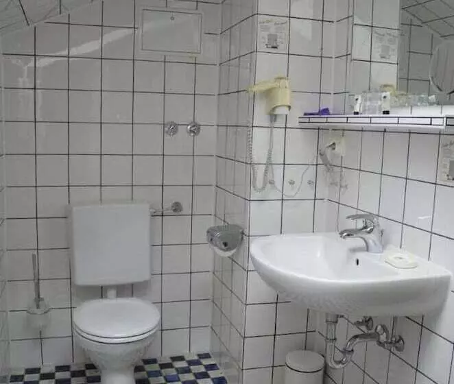 Отель Haus Am Park