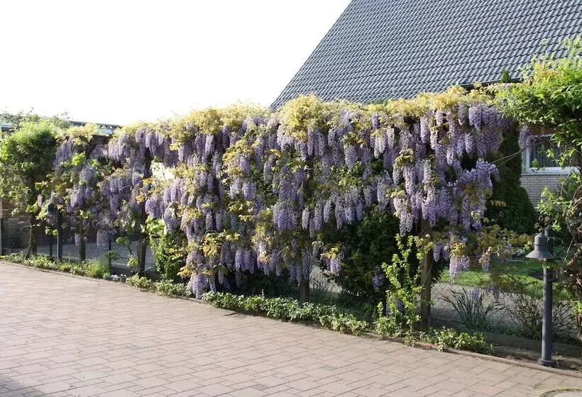 酒店 Jott Wie Jäger