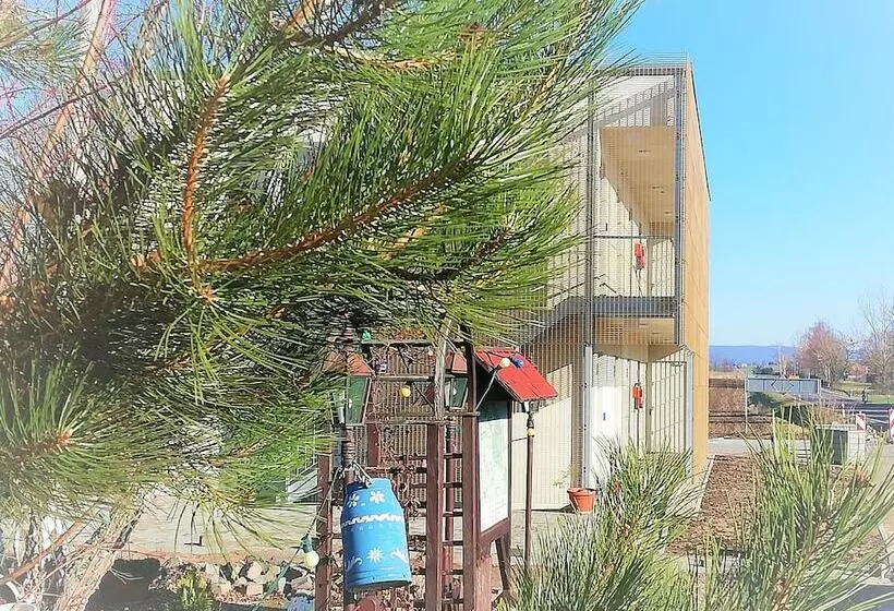 酒店 & Restaurant Alte Molkerei Kolleda