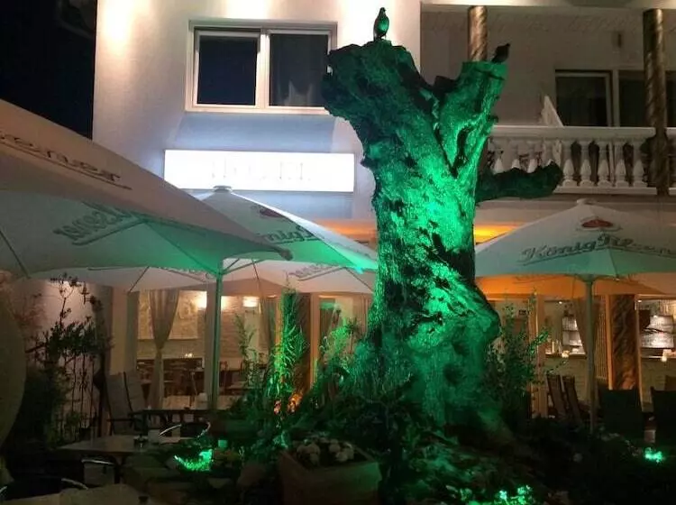 Отель Restaurant Artemis